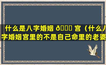 什么是八字婚姻 🐎 宫（什么八字婚姻宫里的不是自己命里的老婆）